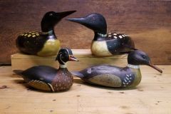 loon_3