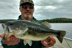 fish6