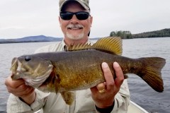 fish9